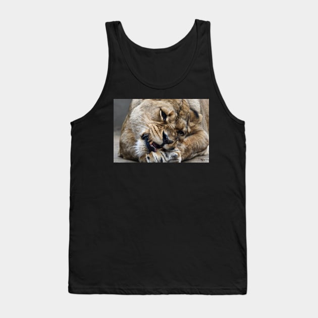 Löwe am Knochen /  Swiss Artwork Photography Tank Top by RaphaelWolf